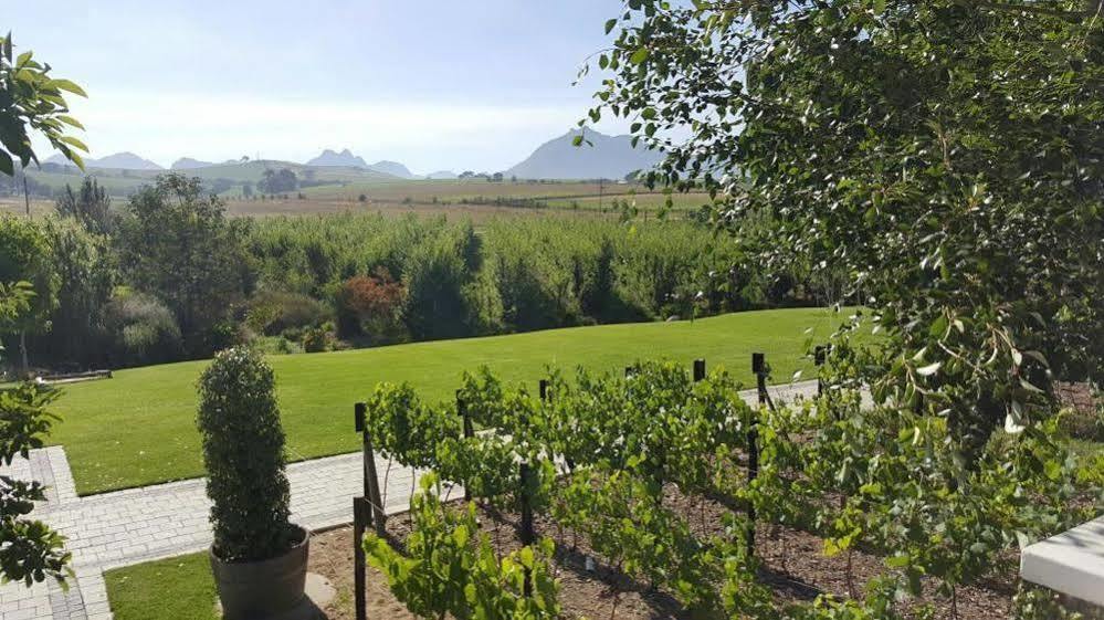 فندق Brenaissance Wine & Stud Estate ستيلينبوش المظهر الخارجي الصورة